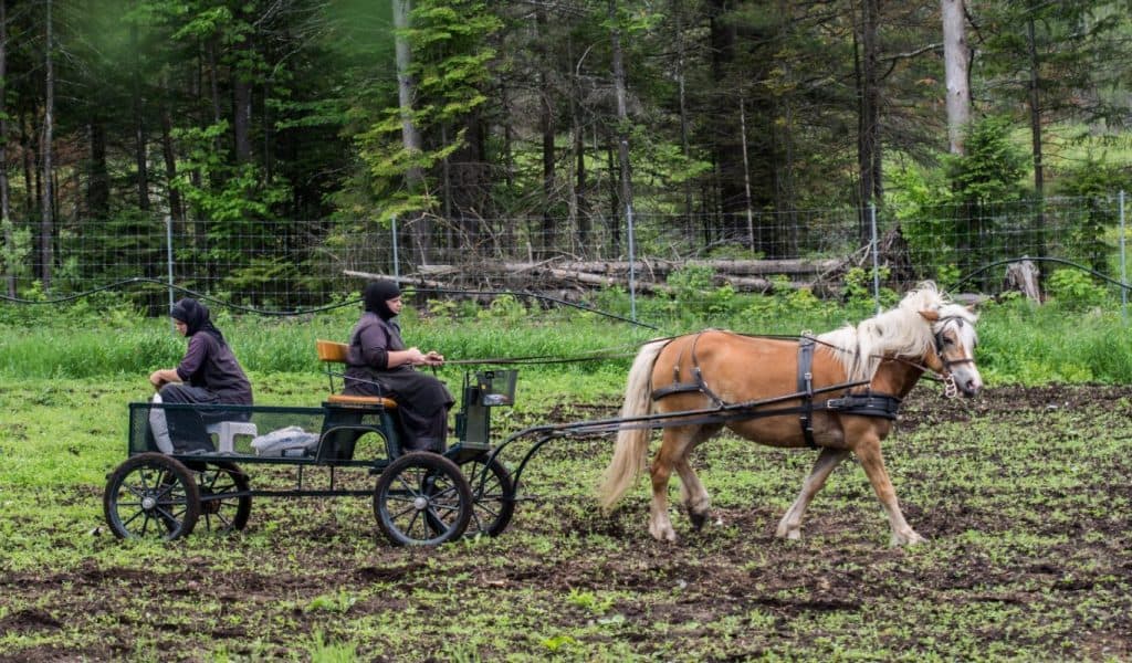 Photo: Marie Laliberté / Le Verbe.