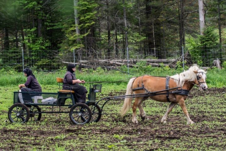 Photo: Marie Laliberté / Le Verbe.