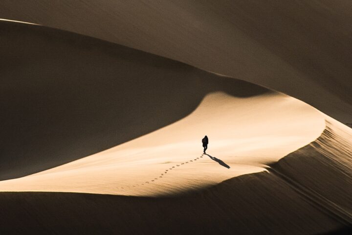 jacques dufresne désert