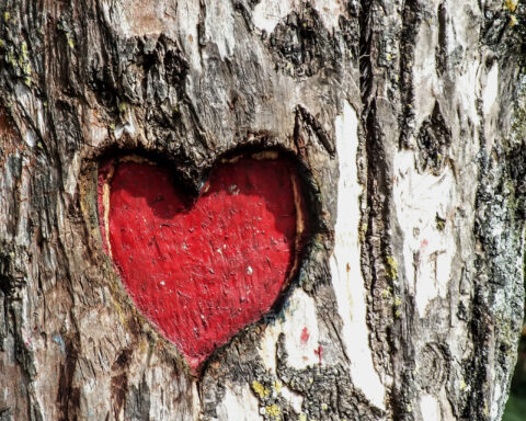 L'amour n'est pas Dieu