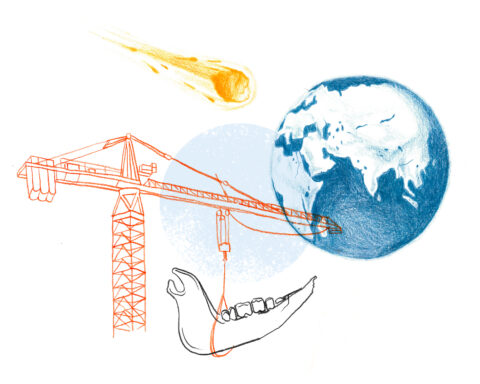 création évolution